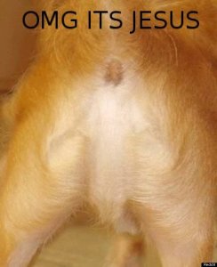 Cat Butthole is Jesus