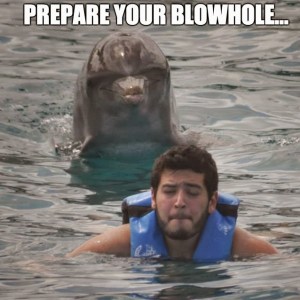 Humans are a dolphin's fetish.